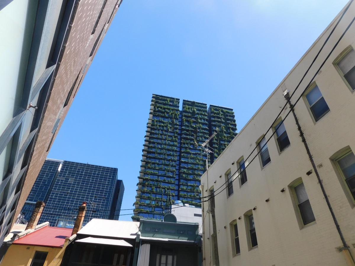 Casa Central Backpackers Hostel Cité de Cité de Sydney Extérieur photo